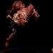 29.11.2019_Più-che-Danza_T.-Fontana_Milano_FG-music-photo-20