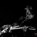 Steve-Vai_Inviolate-Tour_2022_Ultravox-Firenze_©Gigius-10