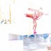 SUONI_MOBILI_piano_solo_e-non_solo_ERMINIO_GAROTTA_2023_ERQ_0500
